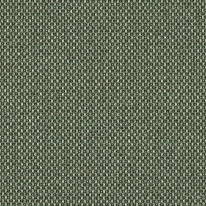 Magnify - Force Field - 4019 - 05 - Half Yard