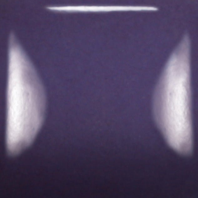 SC040 - Stroke & Coat® Blueberry Hill