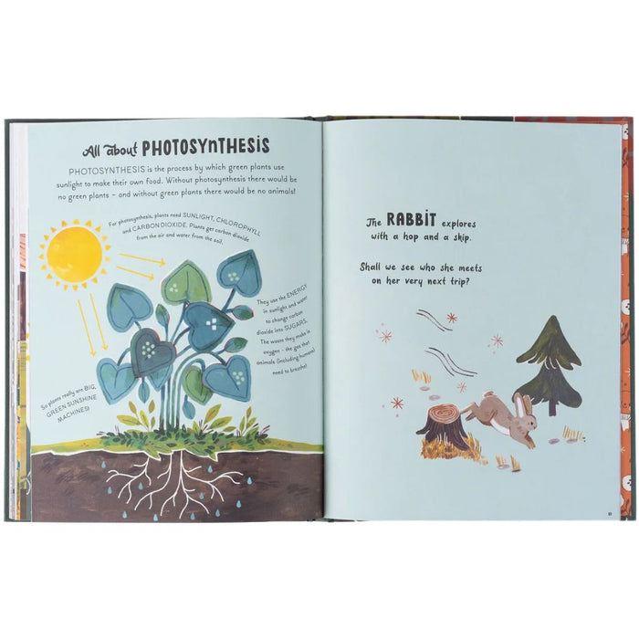 5 Minute Nature Stories