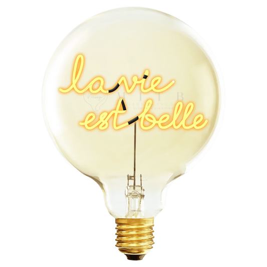 904087_LA_VIE_EST_BELLE__52454.1727104415.1280.1280 - Elements Lighting