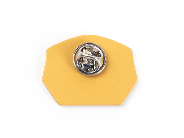 AWS Pin OG Logo