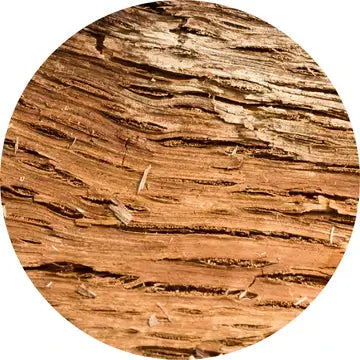 Balsam Amyris Essential Oil - Living Libations