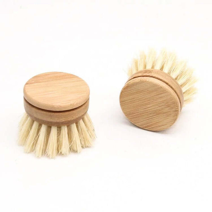 Two wooden dish brushes with natural bristles on a white background
