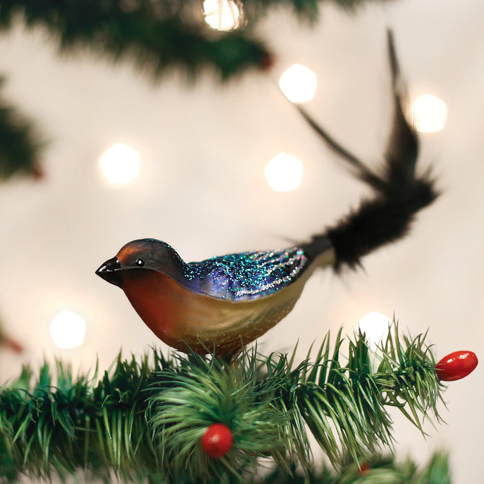 A glittery bird ornament with a long black tail sits on a green Christmas tree branch, surrounded by red berries and soft, glowing lights in the background.