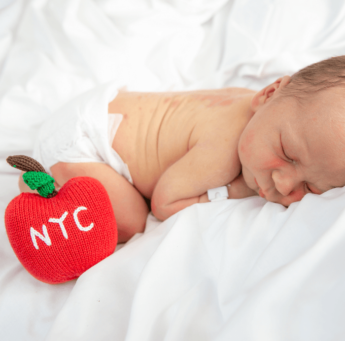 Big Apple Rattle