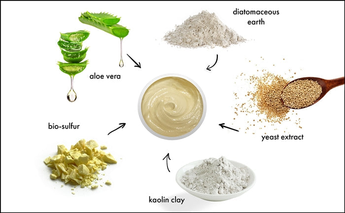 BIO-SULFUR MASQUE (708) - rayaspa