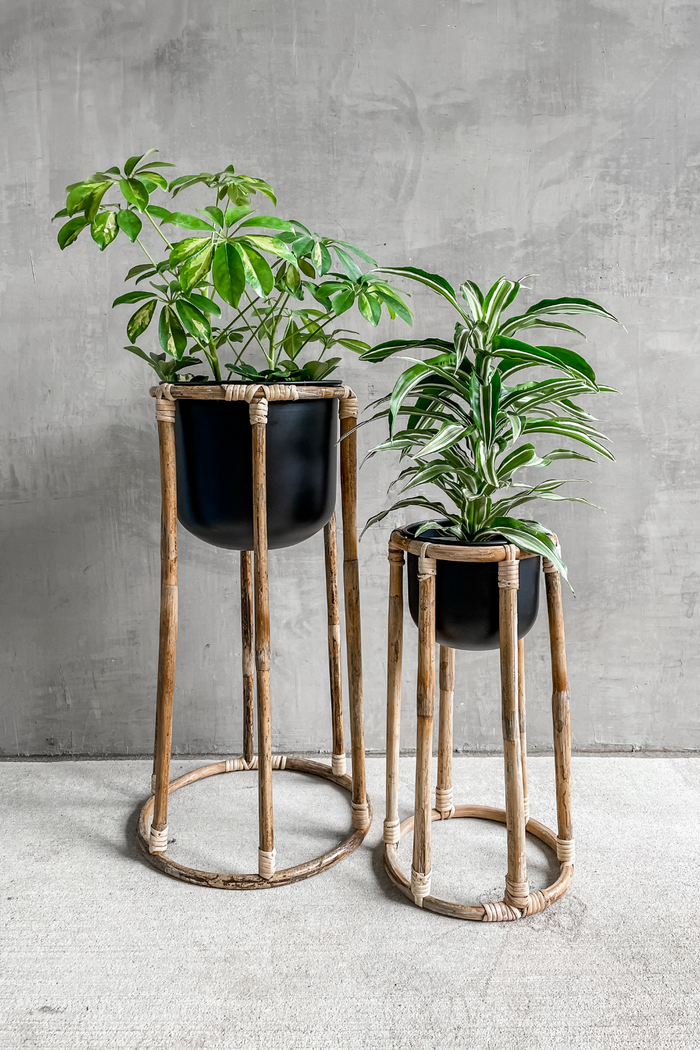 Accent Decor Boca Plant Stands