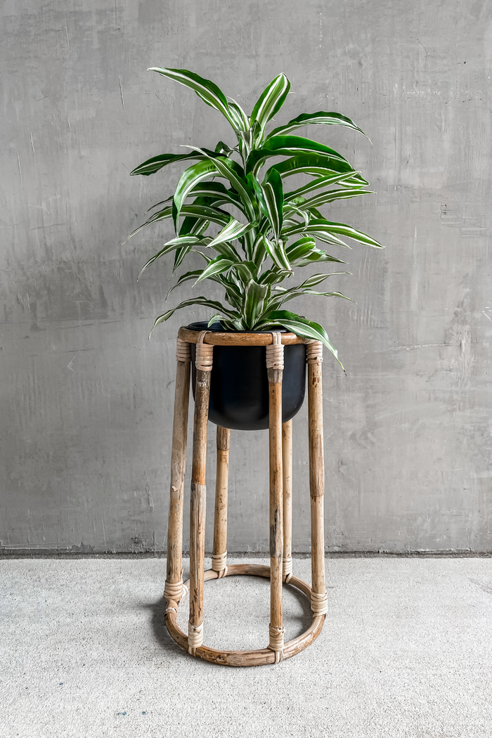 Accent Decor Small Boca Plant Stand