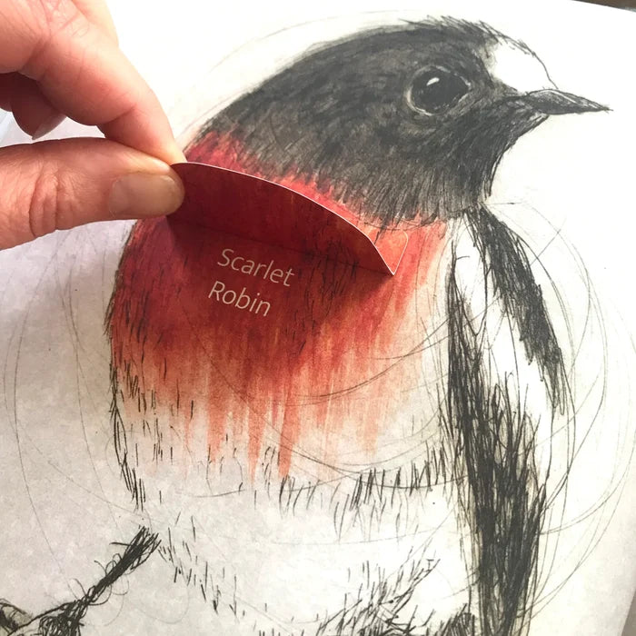 Bridget Farmer Lift-the-Flap Book - The Bush Birds