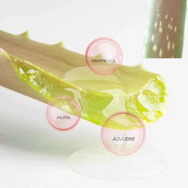 [BRING GREEN] Pink Aloe 96% Soothing Gel 300ml - Ballagrio