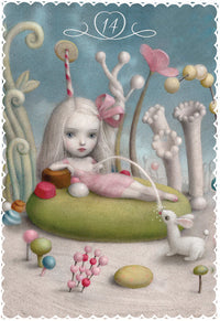 Ceccoli Oracle Deck, Raven's Cauldron, 6 N Sandusky St, Delaware, OH 43015
