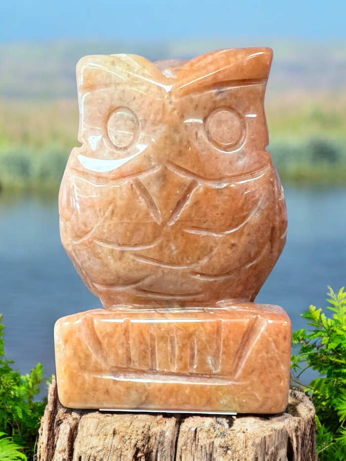 Gemstone_Owl_Carving_Ravens_Cauldron_6_North_Sandusky_Street_Delaware_Ohio_43015