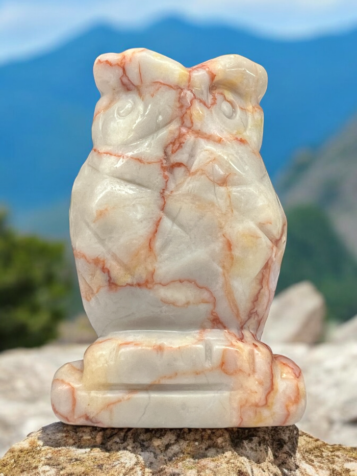 Red Vein Jasper