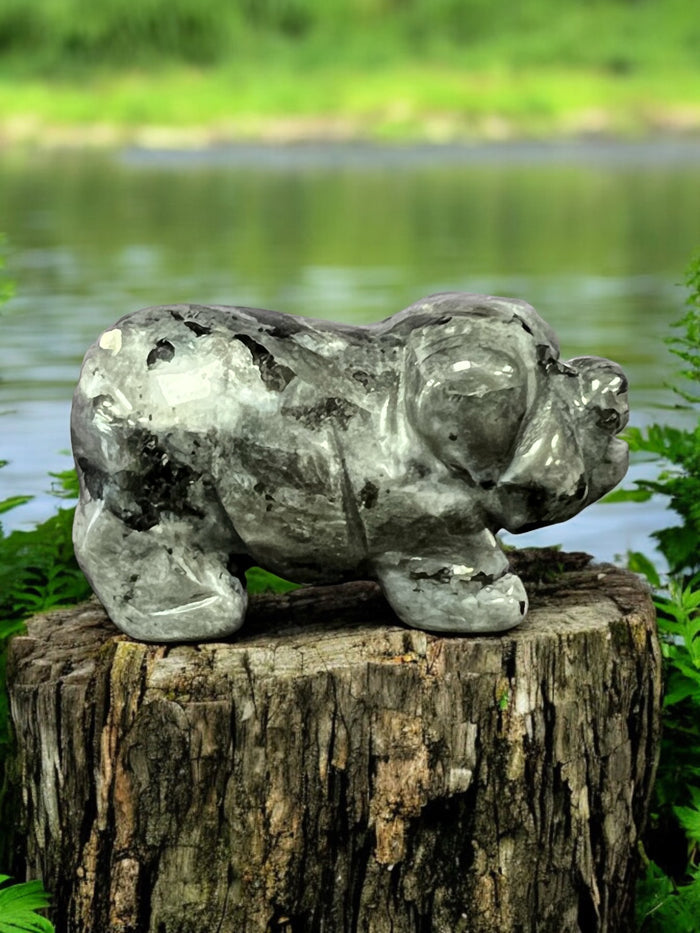 Gemstone_Pig_Carving_Raven’s_Cauldron_6th_North_Sandusky_Street_Delaware_Ohio_43015