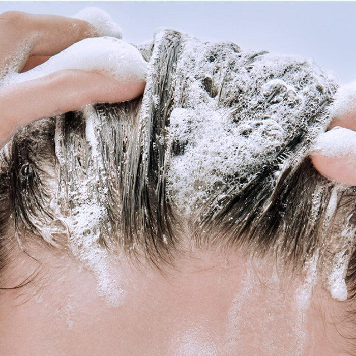 [CURLYSHYLL] After Salon Care Shampoo For Extremely Damaged Hair 500g - Ballagrio