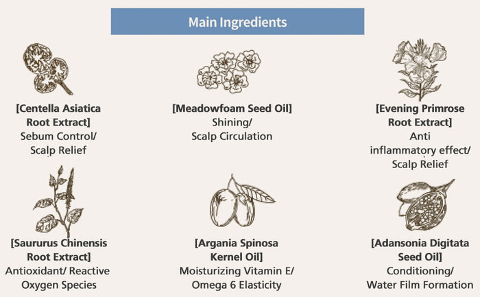 CURLYSHYLL Root Remedy Treatment 250ml - Glam Touch UK
