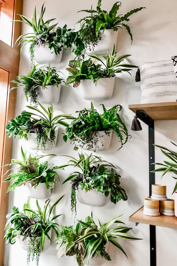 Custom Designed WallyGrow Wall Planter-WallyGrow-ECOVIBE