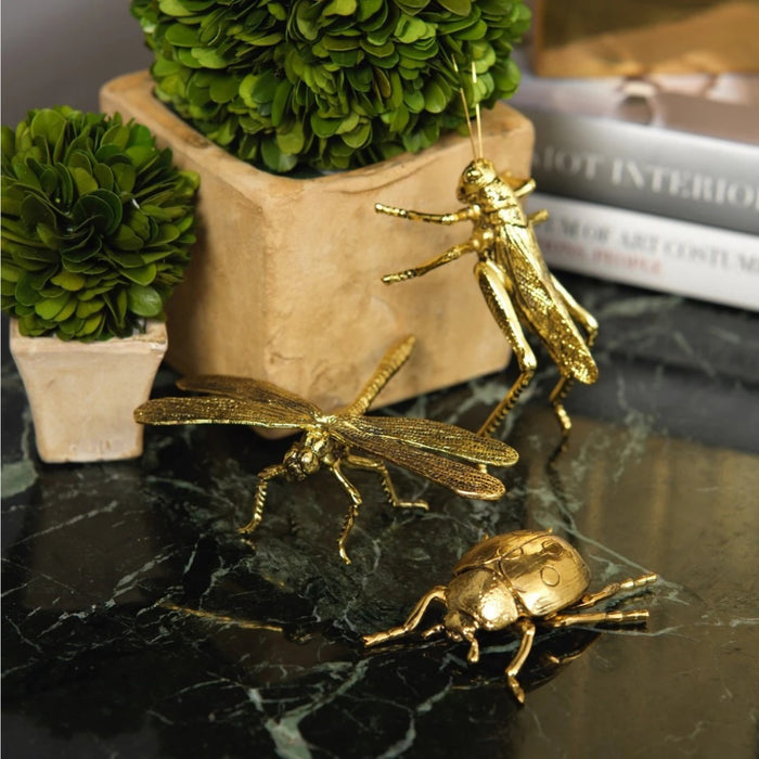 The ZODAX GOLD DRAGONFLY is a gold-hued figurine with detailed, textured wings and body, posed as if flying against a white backdrop. Its size resembles that of a standard wallet.