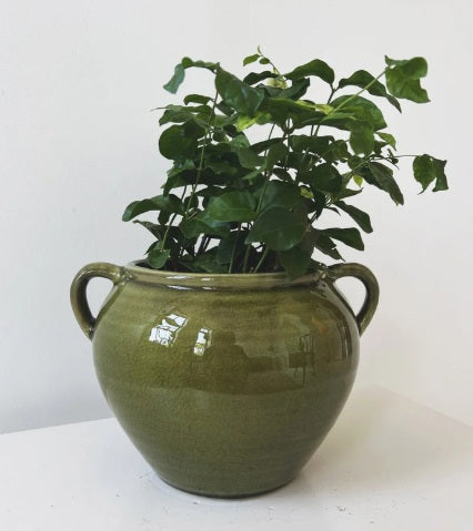 The GREEN HAND-PAINTED TERRACOTTA URN WITH HANDLES by CREATIVE COOP is a round, green ceramic vase with two handles and a glossy finish, featuring hand-painted leaf and floral designs for artisan charm.