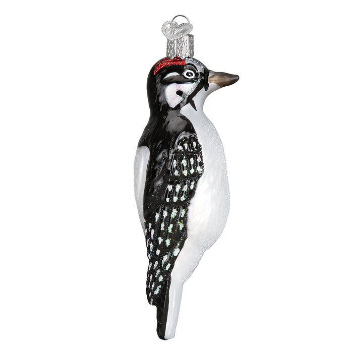 Hanging Hairy Woodpecker
