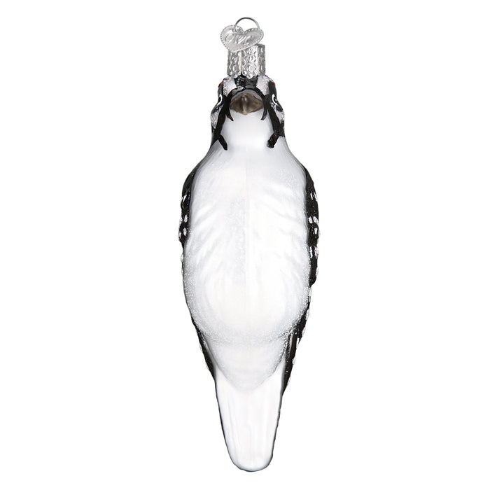 Hanging Hairy Woodpecker