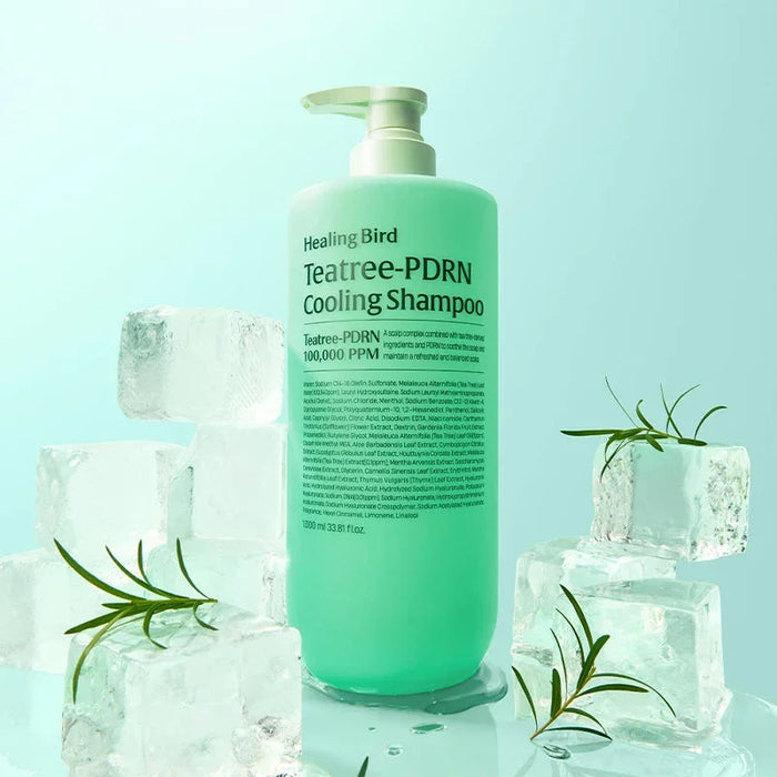 healing-bird-teatree-pdrn-cooling-shampoo-500ml-1000ml-02