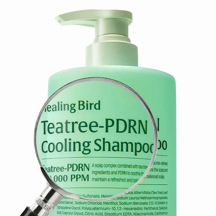 healing-bird-teatree-pdrn-cooling-shampoo-500ml-1000ml-03