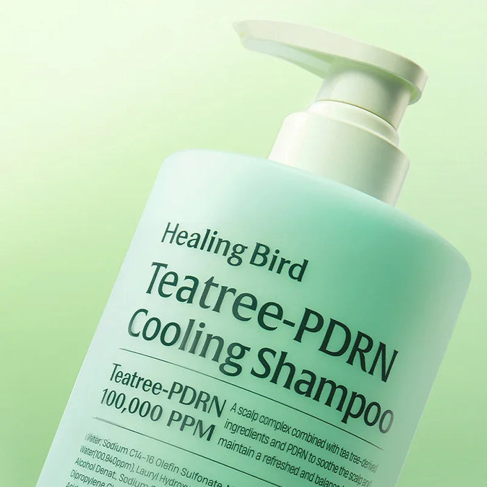 [Healing Bird] Teatree-PDRN Cooling Shampoo 500ml/1000ml