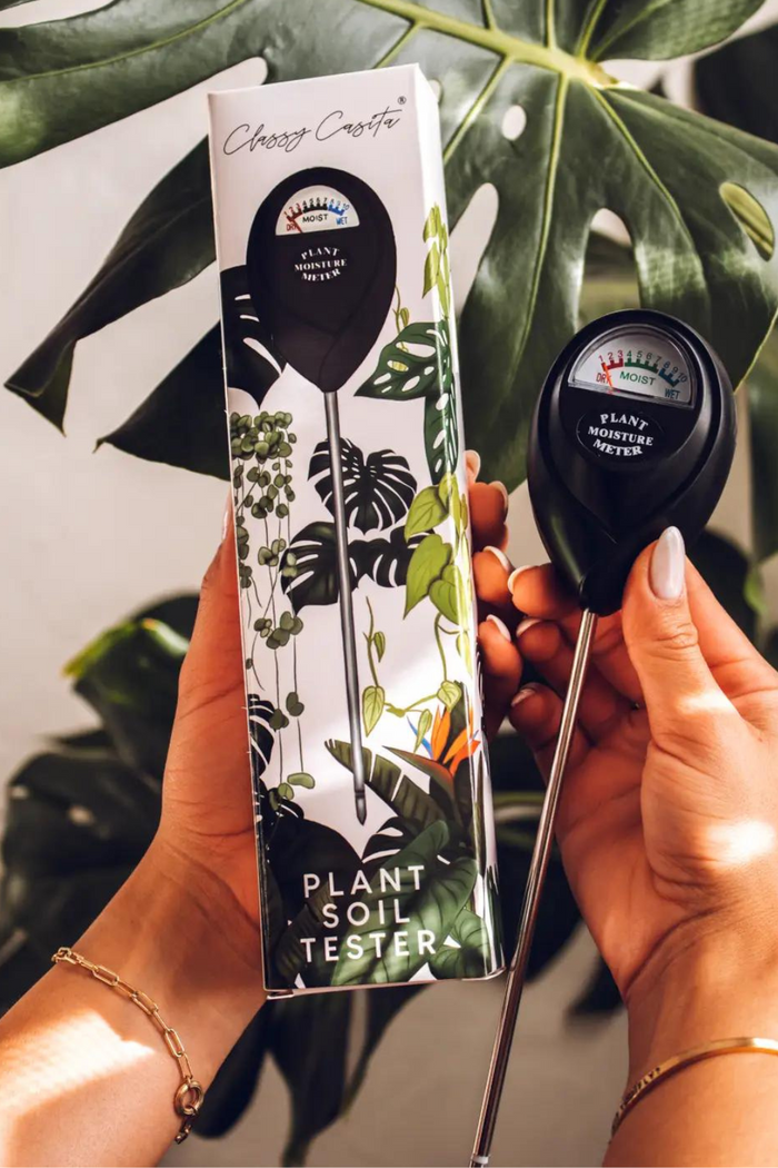 Classy_Casita_Moisture_Meter_Water_Monitor_Houseplant_Care
