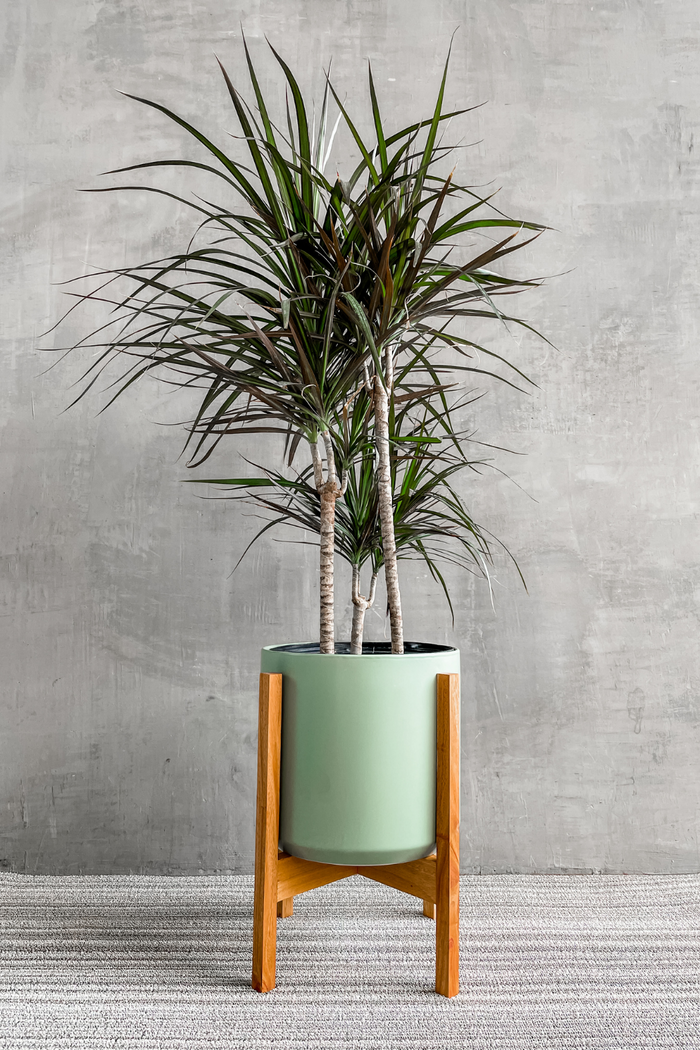 Accent Decor Kendall Pot in Sage