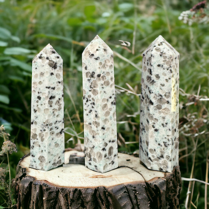 Kiwi Jasper Tower - Raven's Cauldron