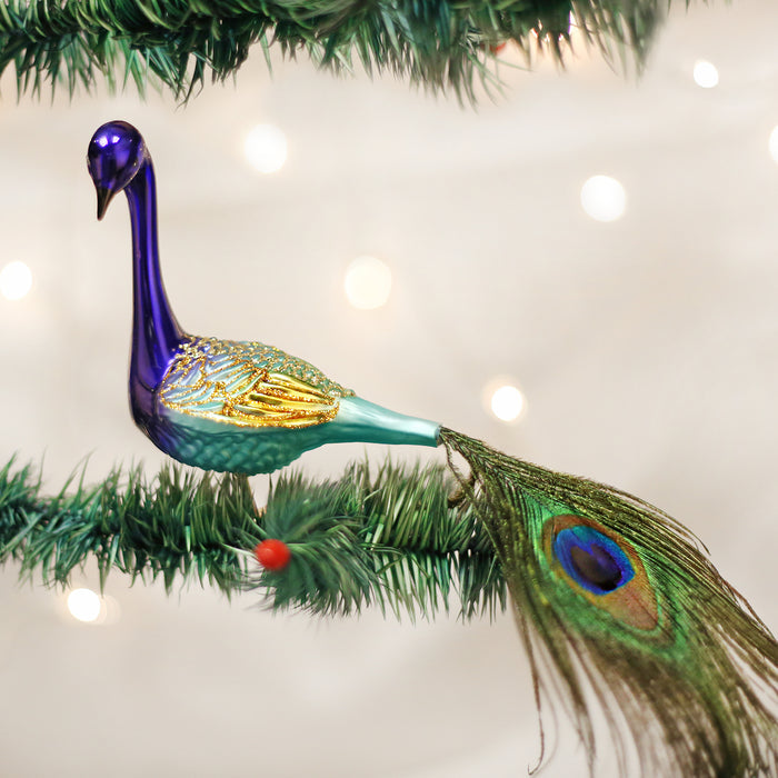 A colorful peacock ornament with a real feather tail is perched on a green Christmas tree branch, with soft white lights blurred in the background.