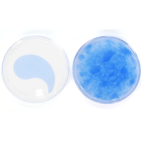 [MEDI-PEEL] Hyaluron Aqua Peptide 9 Ampoule Eye Patch 60EA MEDI-PEEL