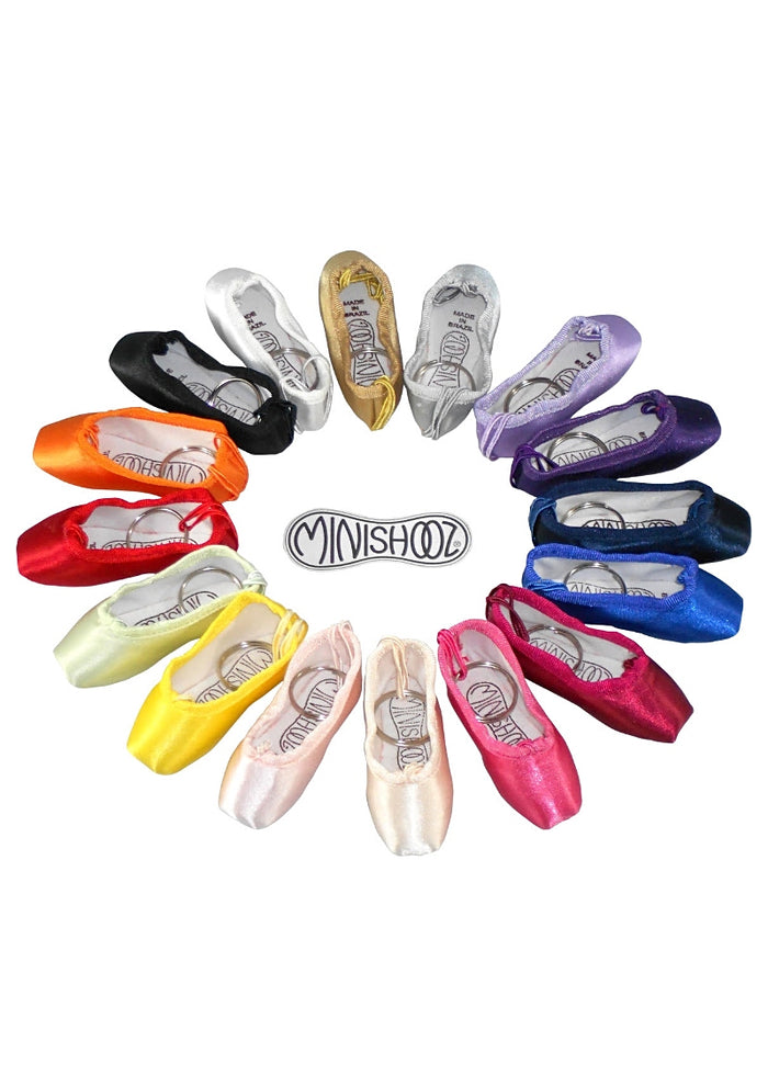 Minishooz® Pointe Keychain