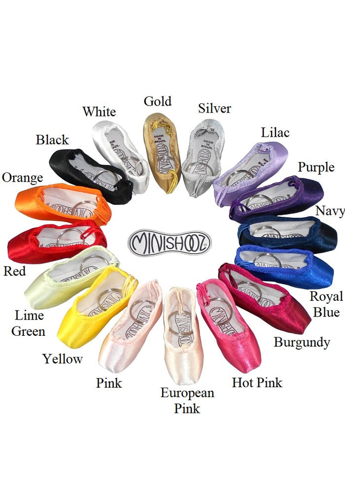 Minishooz® Pointe Keychain