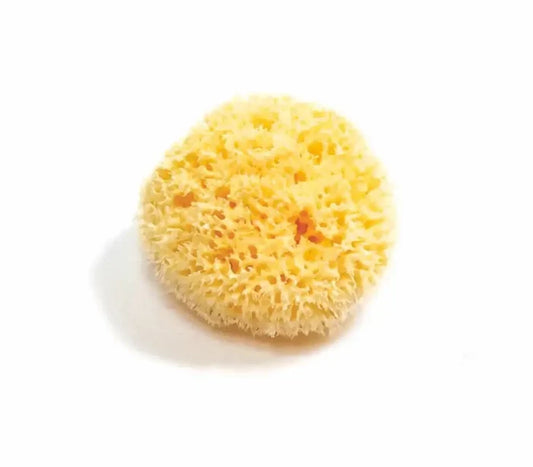 Yellow sponge on a white background