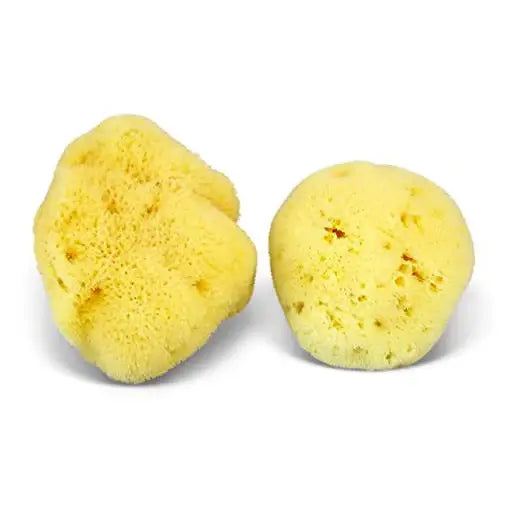 Two yellow sponges on a white background