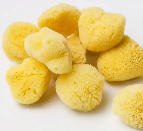 Yellow sponge balls on a white background