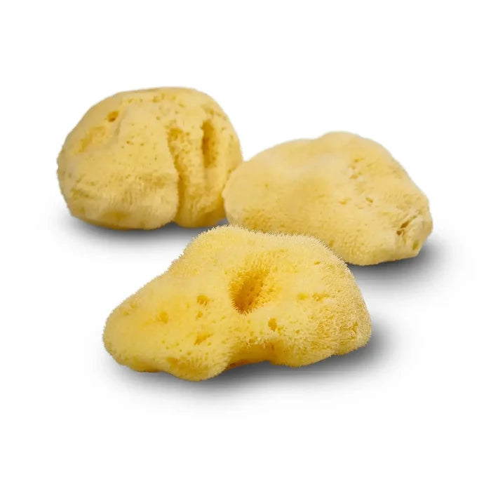 Three yellow sponges on a white background