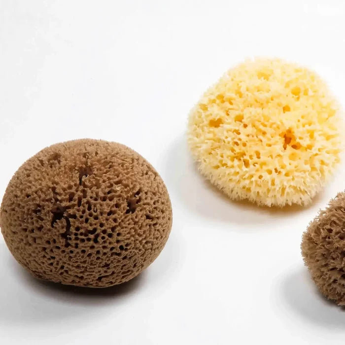 Three sponges of different colors on a white background