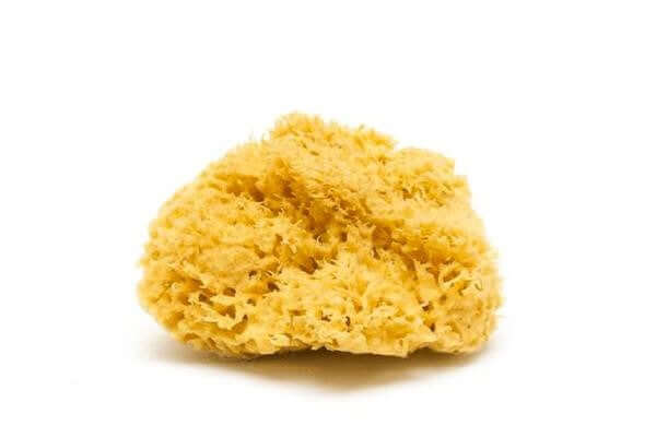 Honeycomb Extra Large