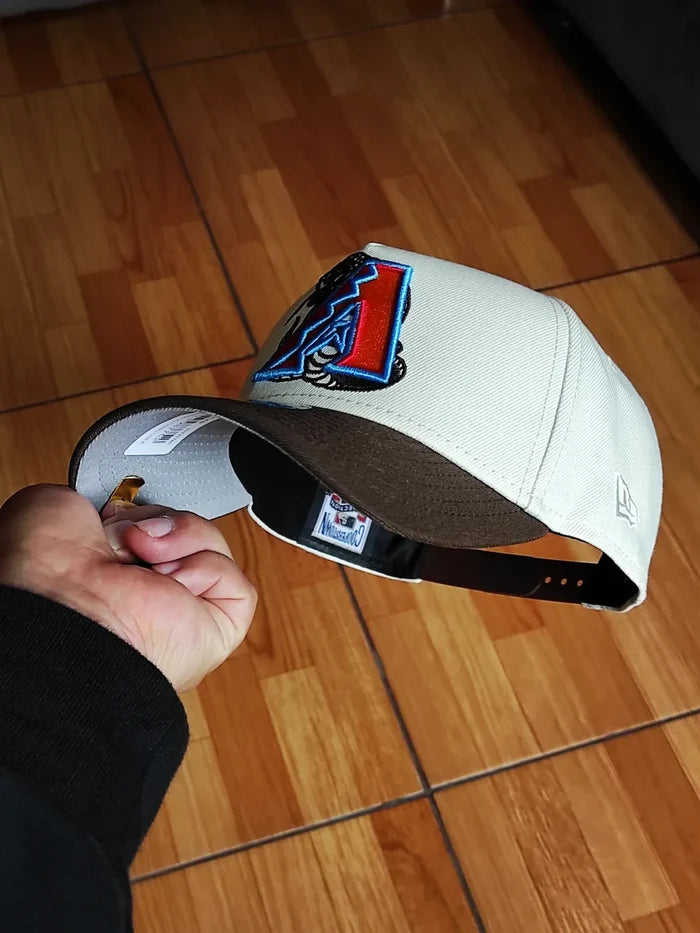 NewEra Arizona chrome díamond backs two tone 9FORTY A-FRAME