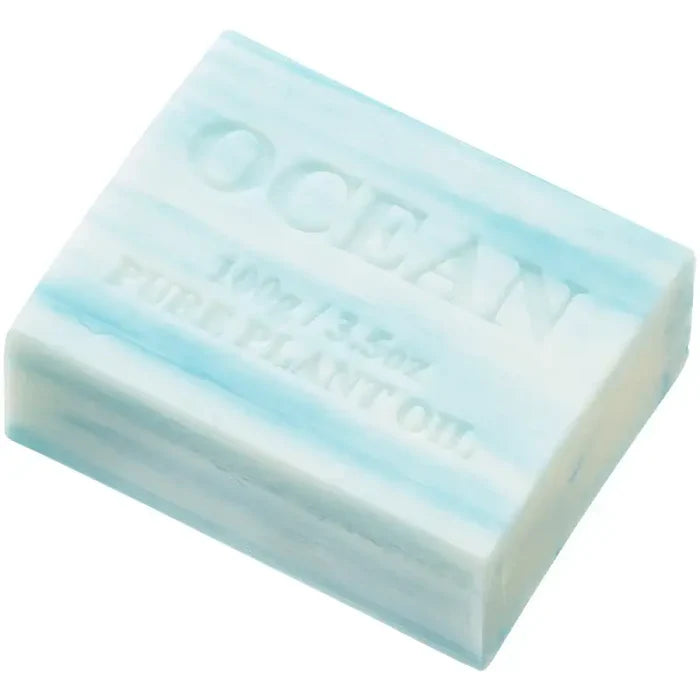 Ocean Soap Bar 100g – Summer Salt Body