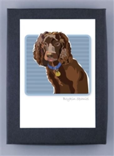 PAPER RUSSELLS - BOYKIN SPANIEL BOX NOTES features a framed illustration of a brown dog with long, wavy ears and a blue collar with yellow tag, on a light blue striped background. Printed on FSC certified recycled paper in the USA.