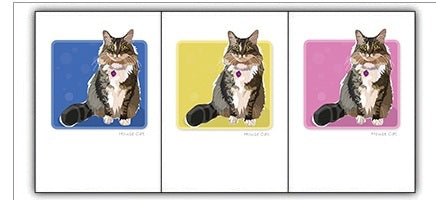 PAPER RUSSELLS - HOUSE CAT BOX NOTES features an eco-friendly note card with a fluffy, long-haired cat sporting a striped tail and pink tag against a blue background, with "HOUSE CAT" at the bottom.