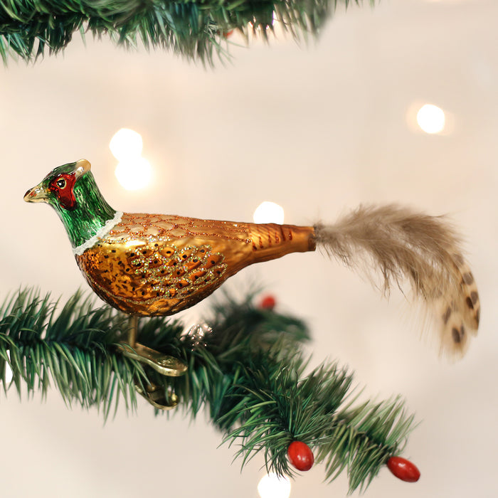 A glass pheasant ornament with a green head, gold body, and real feather tail clipped onto a Christmas tree branch, with lights and red berries in the background.