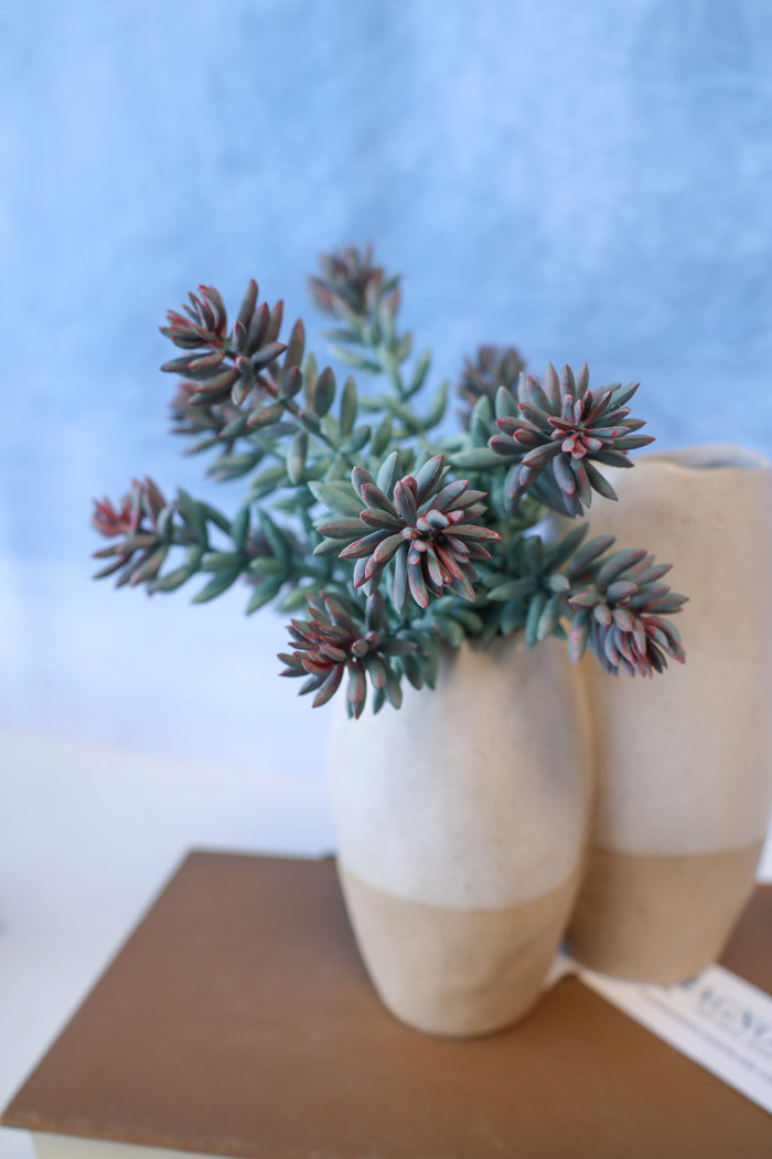 Silk blue purple tip sedum succulent for transitional everyday home decor from Magnolias Home Decor