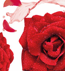 Rose Otto Body Wash