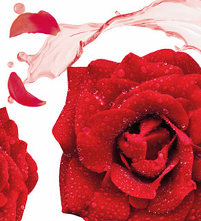 Rose Otto Conditioner