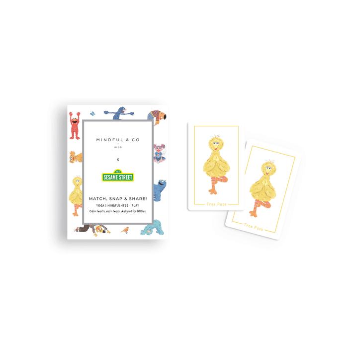 Sesame Street 3-in-1 Card Game featuring colorful cards and engaging characters for emotional intelligence play.